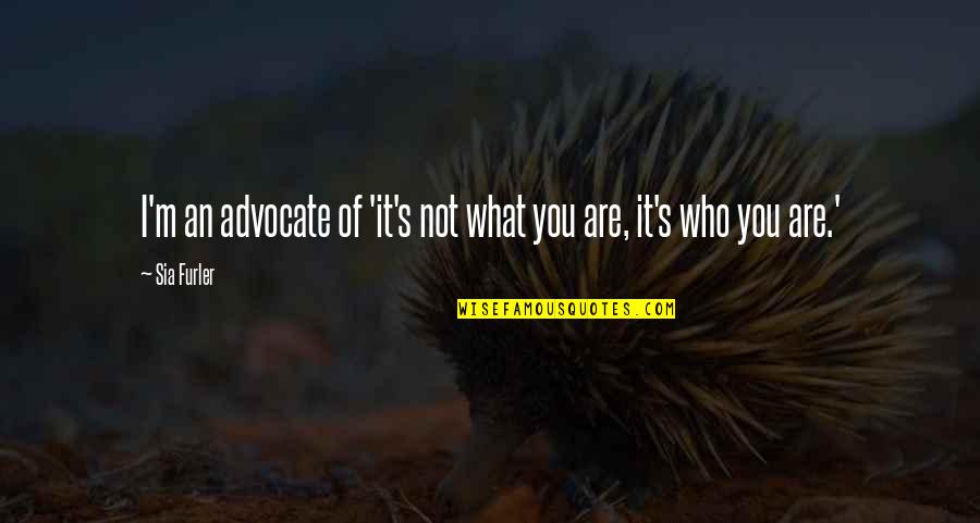 It's Who You Are Quotes By Sia Furler: I'm an advocate of 'it's not what you