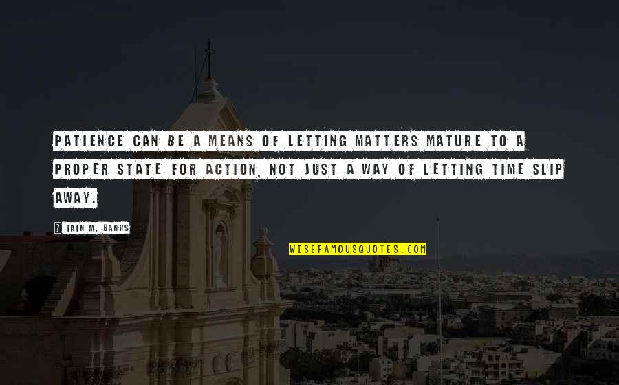 It's You Vs You Quotes By Iain M. Banks: Patience can be a means of letting matters