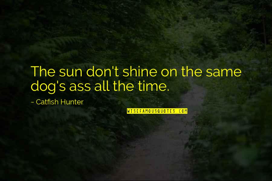 Its Your Time To Shine Quotes By Catfish Hunter: The sun don't shine on the same dog's