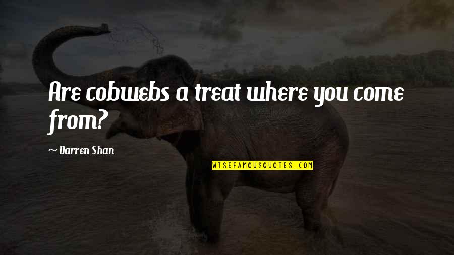 Itsmessiness Quotes By Darren Shan: Are cobwebs a treat where you come from? Itsmessiness Quotes By Darren Shan: Are cobwebs a treat where you come from?
