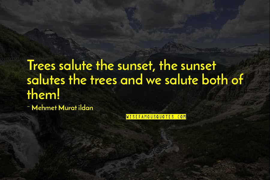 Iturrioz Golfer Quotes By Mehmet Murat Ildan: Trees salute the sunset, the sunset salutes the Iturrioz Golfer Quotes By Mehmet Murat Ildan: Trees salute the sunset, the sunset salutes the