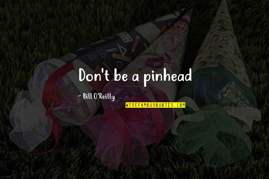 Itzins Quotes By Bill O'Reilly: Don't be a pinhead Itzins Quotes By Bill O'Reilly: Don't be a pinhead