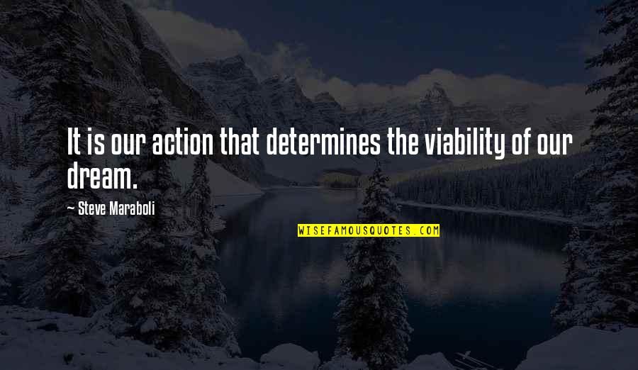 Ivan Ferreiro Quotes By Steve Maraboli: It is our action that determines the viability