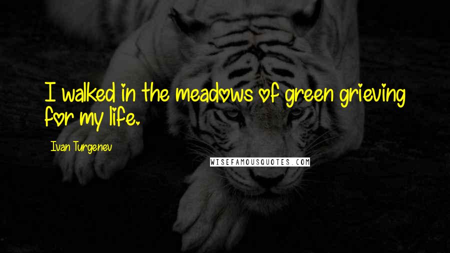 Ivan Turgenev quotes: I walked in the meadows of green grieving for my life.