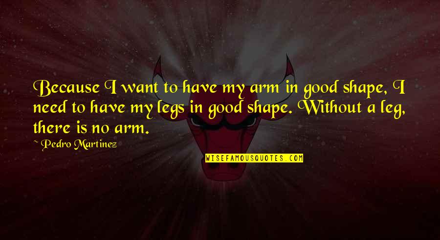 Ivanhoe Chivalry Quotes By Pedro Martinez: Because I want to have my arm in