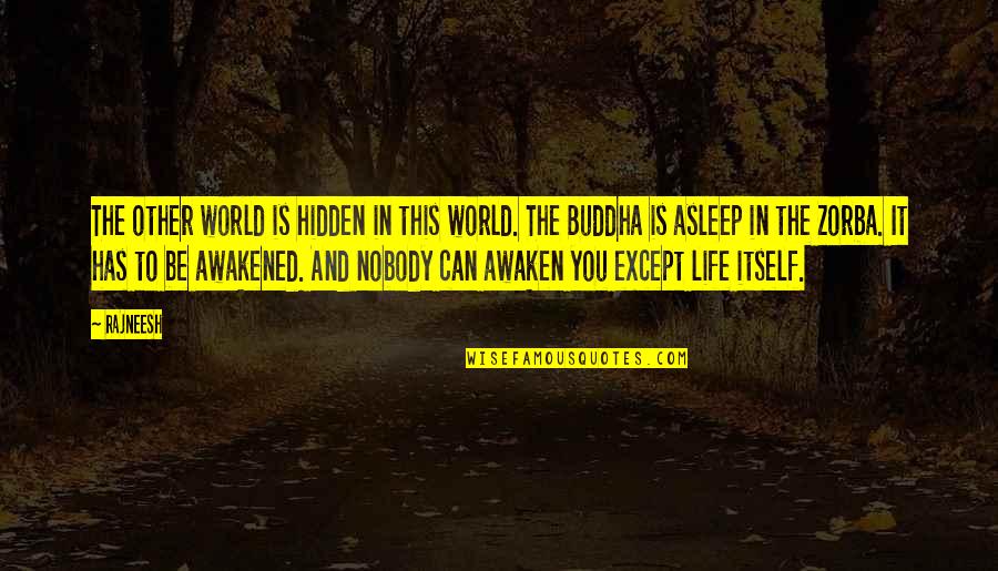 I've Been Busier Than Quotes By Rajneesh: The other world is hidden in this world.