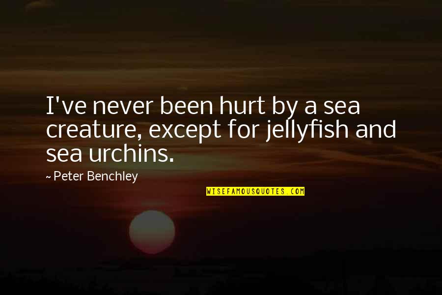 I've Been Hurt Quotes By Peter Benchley: I've never been hurt by a sea creature,