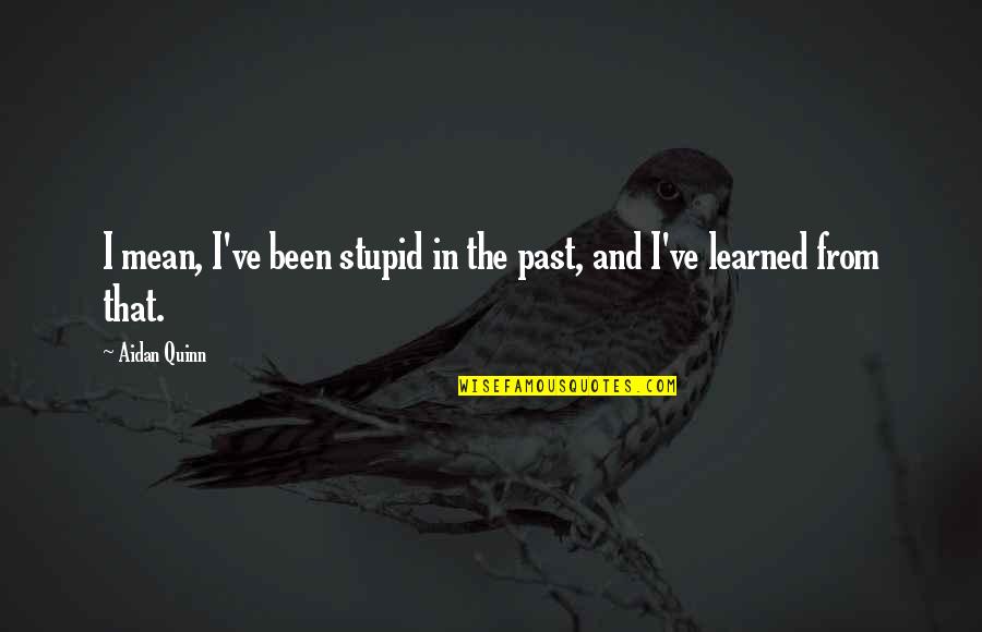 I've Been Stupid Quotes By Aidan Quinn: I mean, I've been stupid in the past,