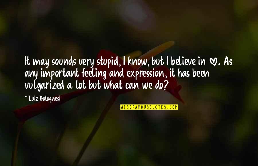 I've Been Stupid Quotes By Luiz Bolognesi: It may sounds very stupid, I know, but