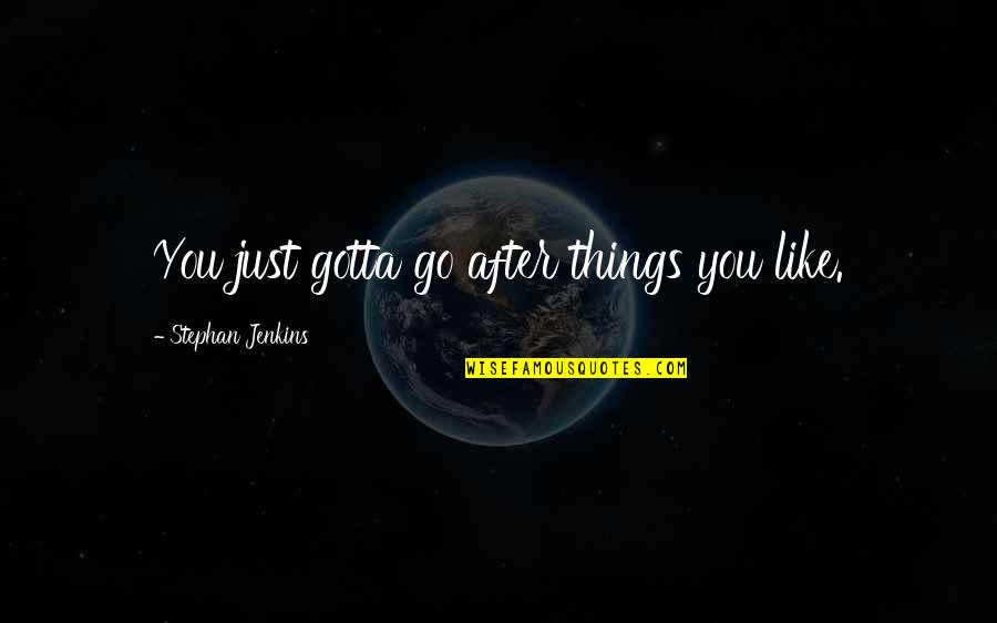 I've Come So Far In Life Quotes By Stephan Jenkins: You just gotta go after things you like.