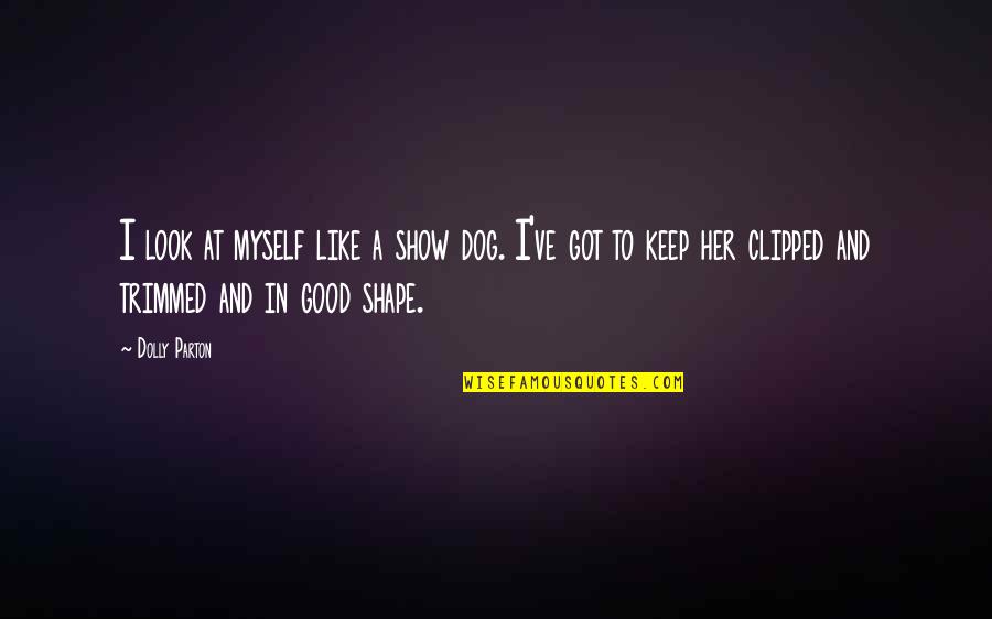 I've Got Myself Quotes By Dolly Parton: I look at myself like a show dog. I've Got Myself Quotes By Dolly Parton: I look at myself like a show dog.