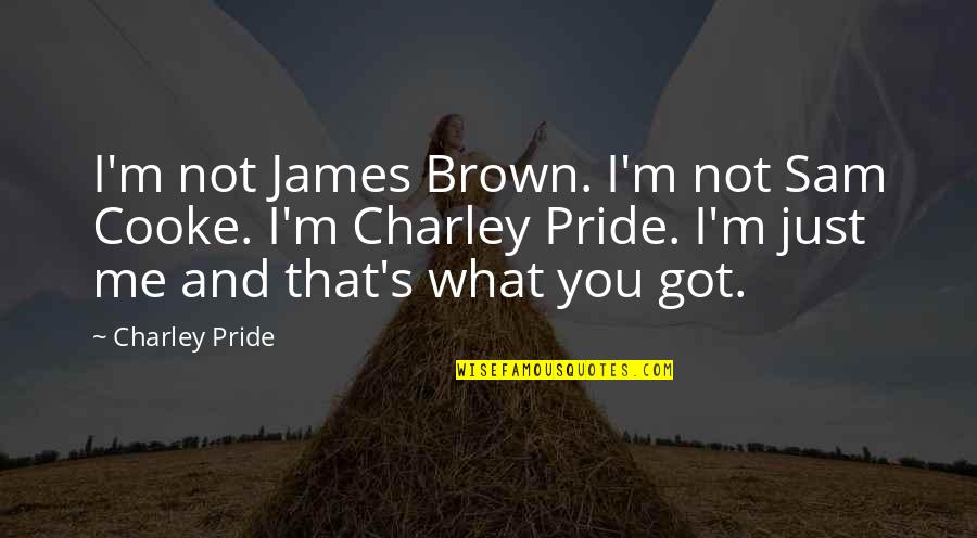 I've Got Pride Quotes By Charley Pride: I'm not James Brown. I'm not Sam Cooke.