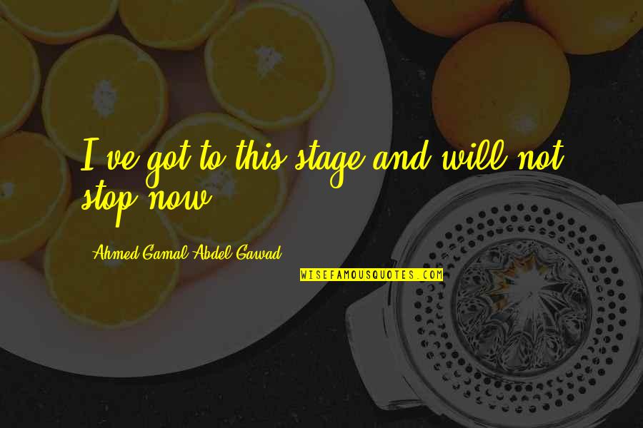 I've Got This Quotes By Ahmed Gamal Abdel Gawad: I've got to this stage and will not