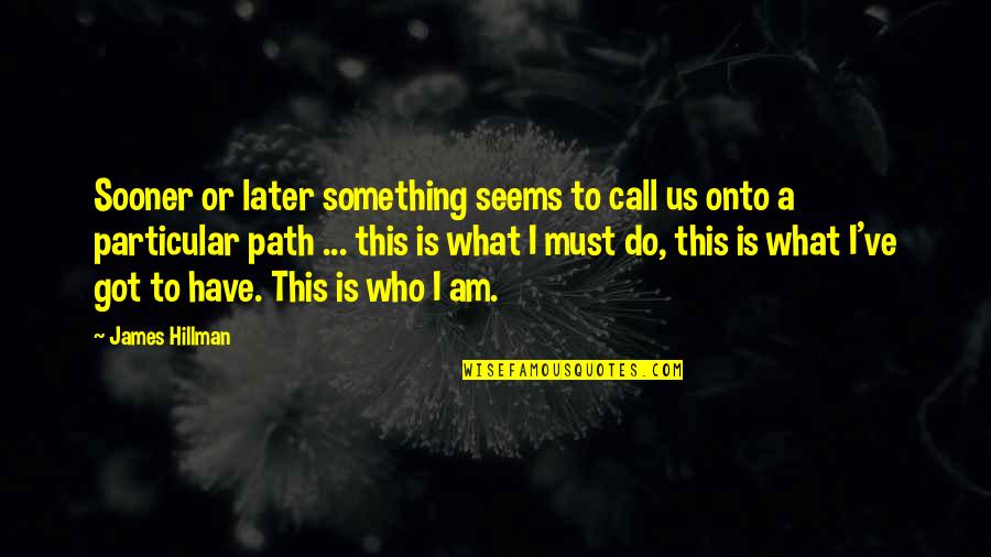 I've Got This Quotes By James Hillman: Sooner or later something seems to call us