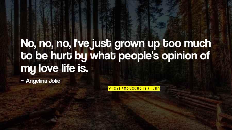 I've Grown Quotes By Angelina Jolie: No, no, no, I've just grown up too