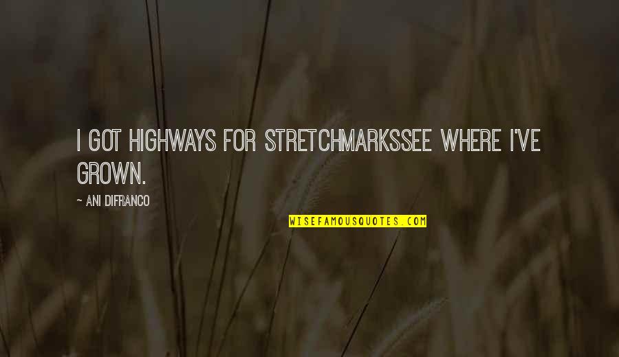 I've Grown Quotes By Ani DiFranco: I got highways for stretchmarksSee where I've grown.