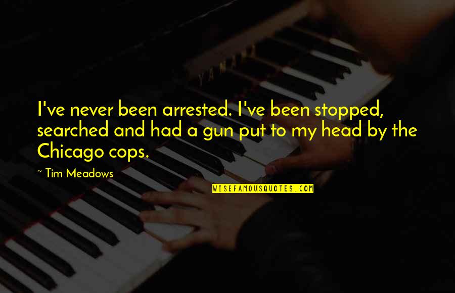 I've Never Had Quotes By Tim Meadows: I've never been arrested. I've been stopped, searched I've Never Had Quotes By Tim Meadows: I've never been arrested. I've been stopped, searched