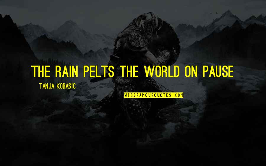 Ivers And Pond Quotes By Tanja Kobasic: The rain pelts the world on pause