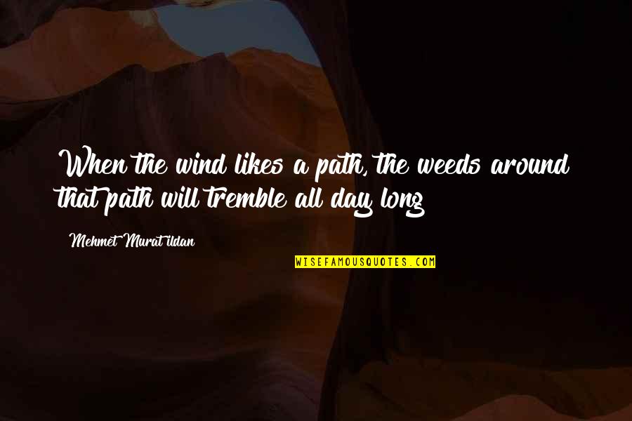 Ivete Sangalo Quotes By Mehmet Murat Ildan: When the wind likes a path, the weeds Ivete Sangalo Quotes By Mehmet Murat Ildan: When the wind likes a path, the weeds