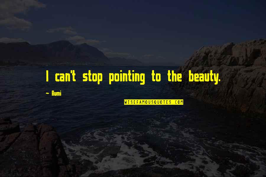 Ivisions Quotes By Rumi: I can't stop pointing to the beauty.