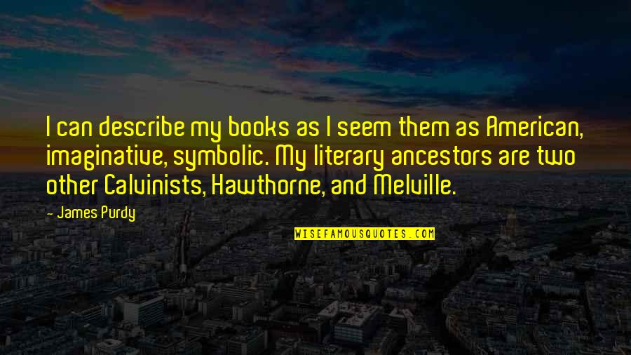 Ivms 4200 Quotes By James Purdy: I can describe my books as I seem Ivms 4200 Quotes By James Purdy: I can describe my books as I seem