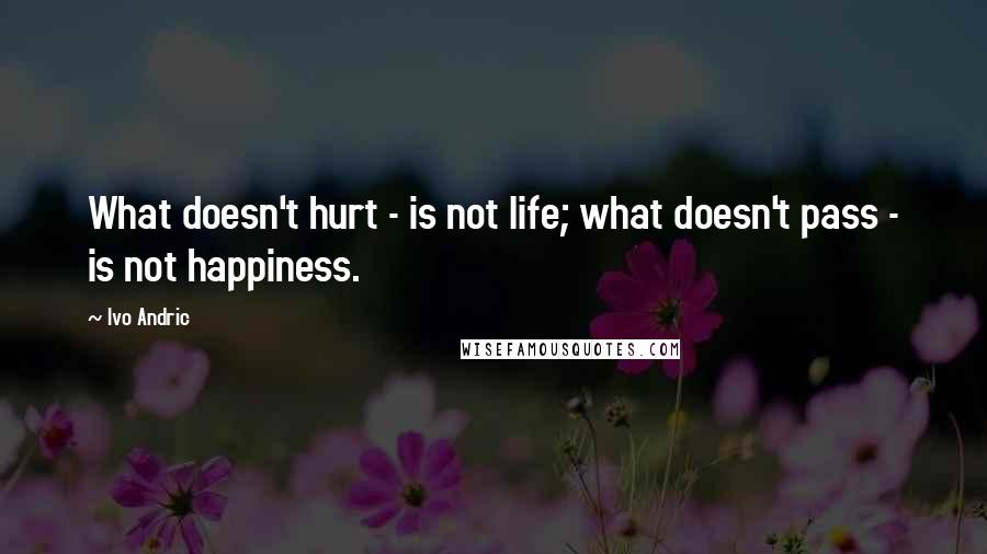 Ivo Andric quotes: What doesn't hurt - is not life; what doesn't pass - is not happiness.