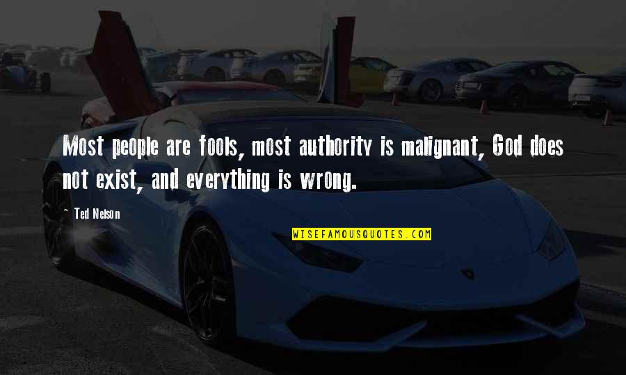 Ivos Members Quotes By Ted Nelson: Most people are fools, most authority is malignant, Ivos Members Quotes By Ted Nelson: Most people are fools, most authority is malignant,