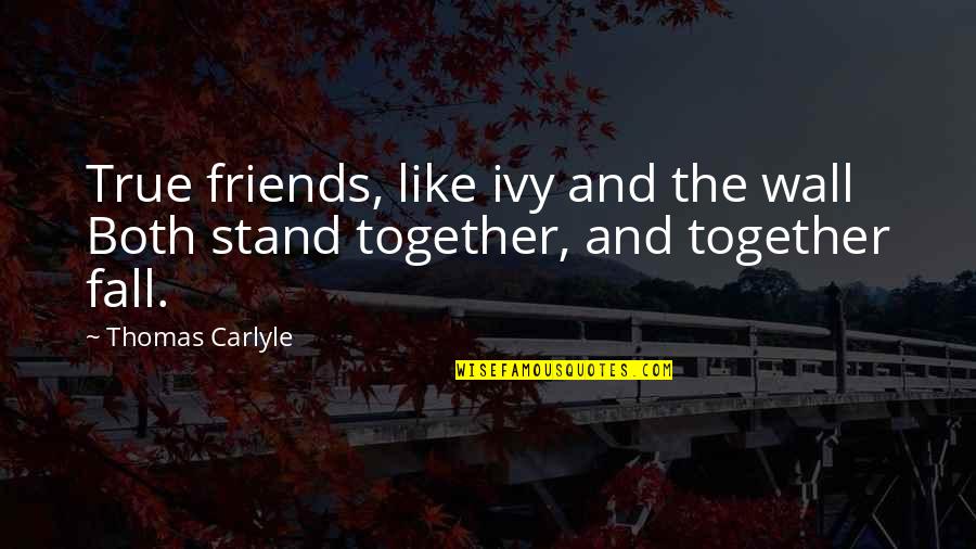 Ivy Quotes By Thomas Carlyle: True friends, like ivy and the wall Both