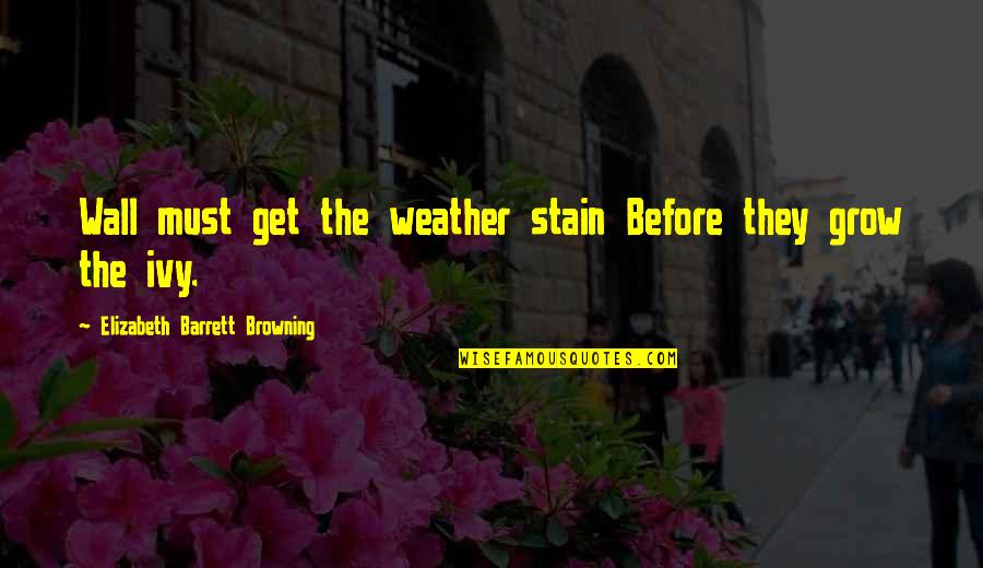 Ivy's Quotes By Elizabeth Barrett Browning: Wall must get the weather stain Before they