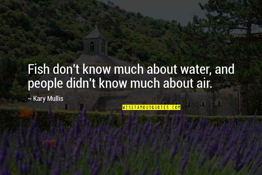 Iwahara Puzzle Quotes By Kary Mullis: Fish don't know much about water, and people