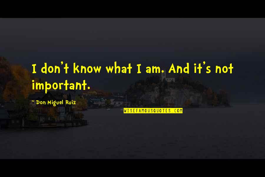 Iwamatsu Makoto Quotes By Don Miguel Ruiz: I don't know what I am. And it's