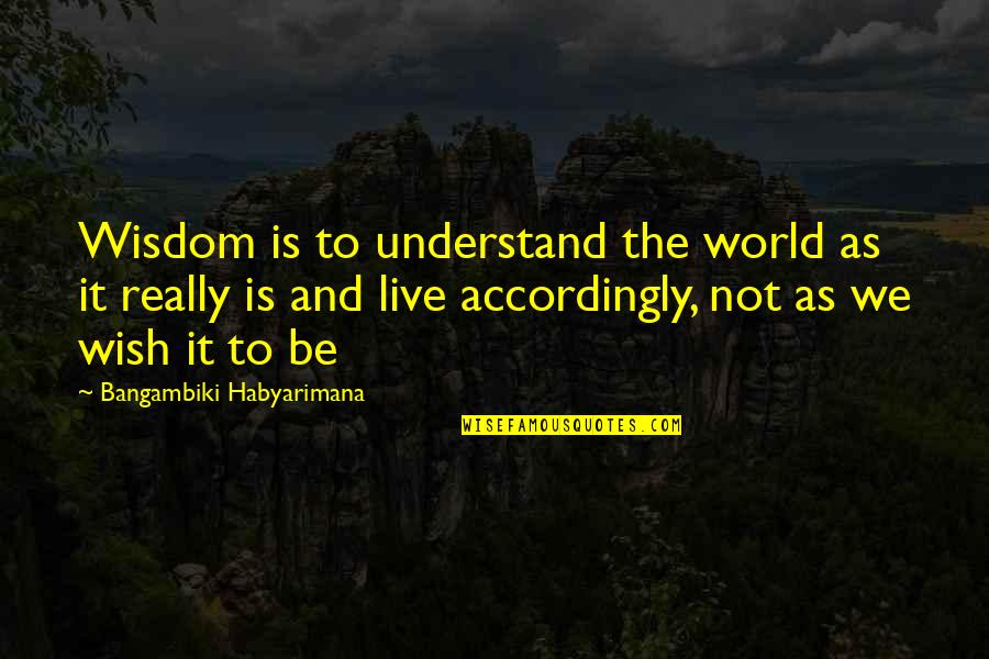 Iwatani Naofumi Quotes By Bangambiki Habyarimana: Wisdom is to understand the world as it