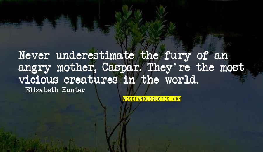 Iye Quotes By Elizabeth Hunter: Never underestimate the fury of an angry mother, Iye Quotes By Elizabeth Hunter: Never underestimate the fury of an angry mother,