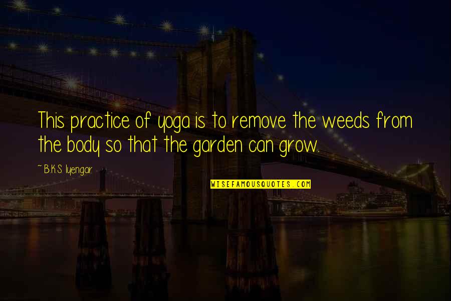 Iyengar Quotes By B.K.S. Iyengar: This practice of yoga is to remove the Iyengar Quotes By B.K.S. Iyengar: This practice of yoga is to remove the