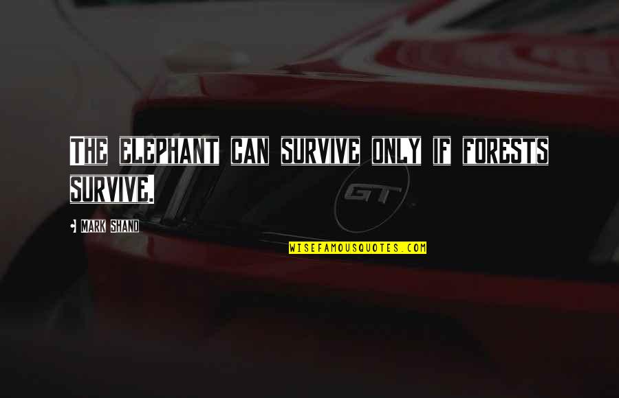 Iyingdi Quotes By Mark Shand: The elephant can survive only if forests survive. Iyingdi Quotes By Mark Shand: The elephant can survive only if forests survive.
