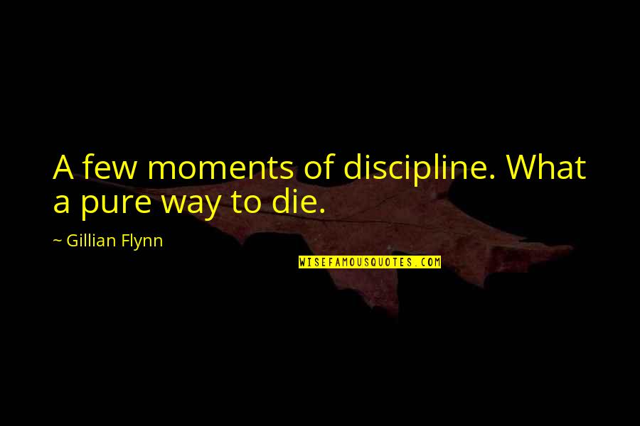 Iyk Quote Quotes By Gillian Flynn: A few moments of discipline. What a pure