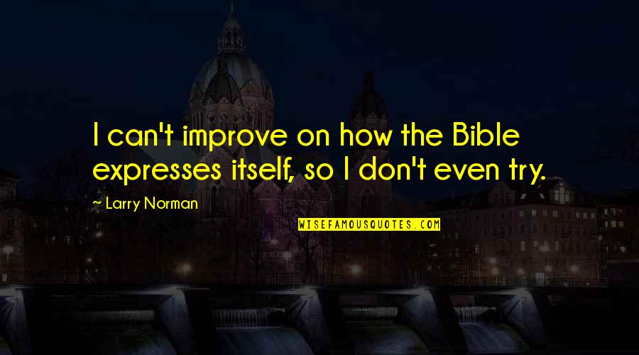 Izaskun Arana Quotes By Larry Norman: I can't improve on how the Bible expresses