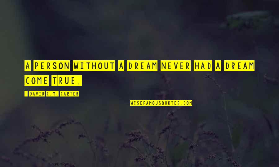 Izgubiti Nevinost Quotes By David C.M. Carter: A person without a dream never had a