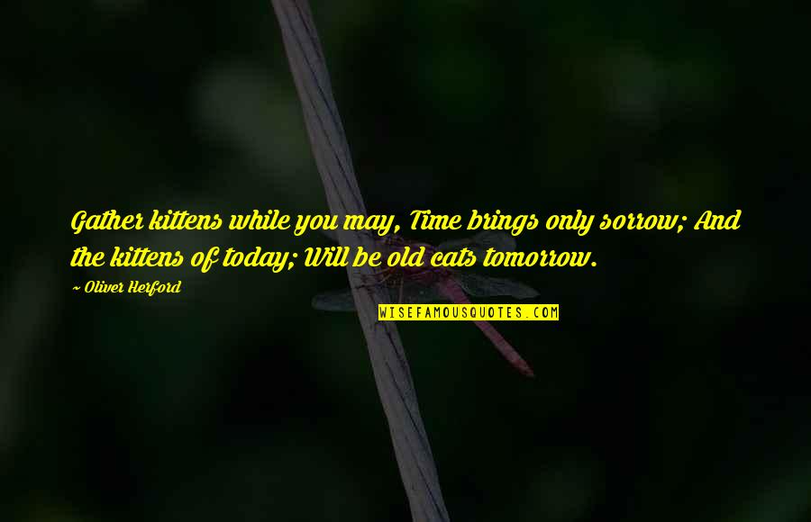 Izgubljeni U Quotes By Oliver Herford: Gather kittens while you may, Time brings only