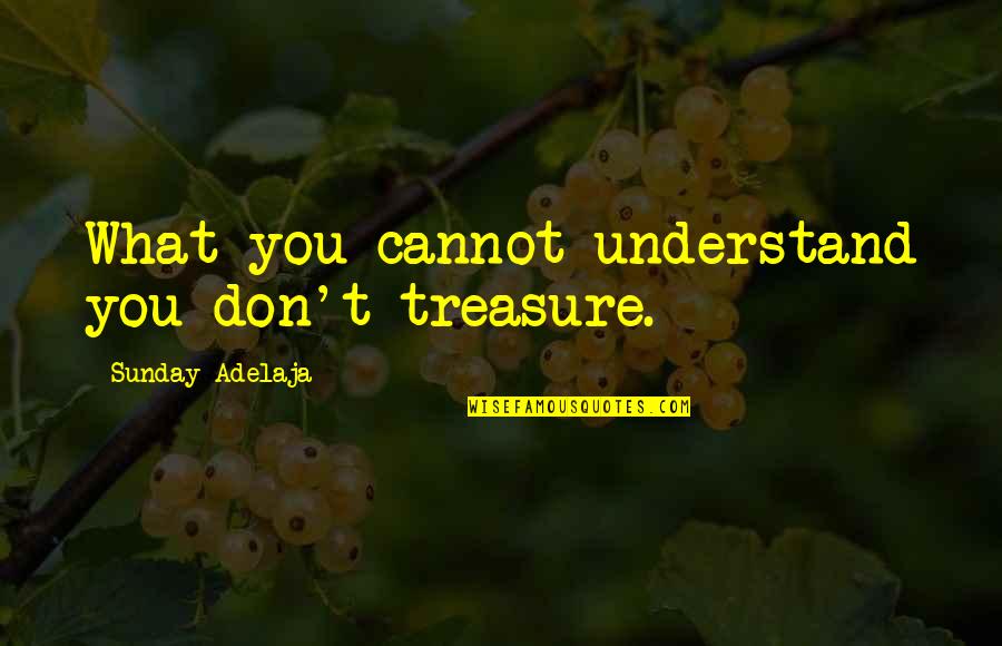 Izlemen Gereken Quotes By Sunday Adelaja: What you cannot understand you don't treasure.