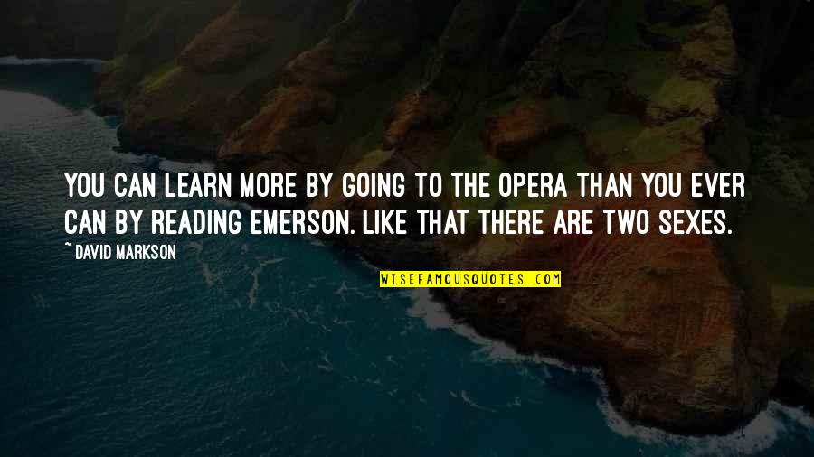 Izmislen Quotes By David Markson: You can learn more by going to the