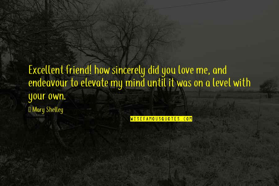 Izutsu Yatsuhashi Quotes By Mary Shelley: Excellent friend! how sincerely did you love me,