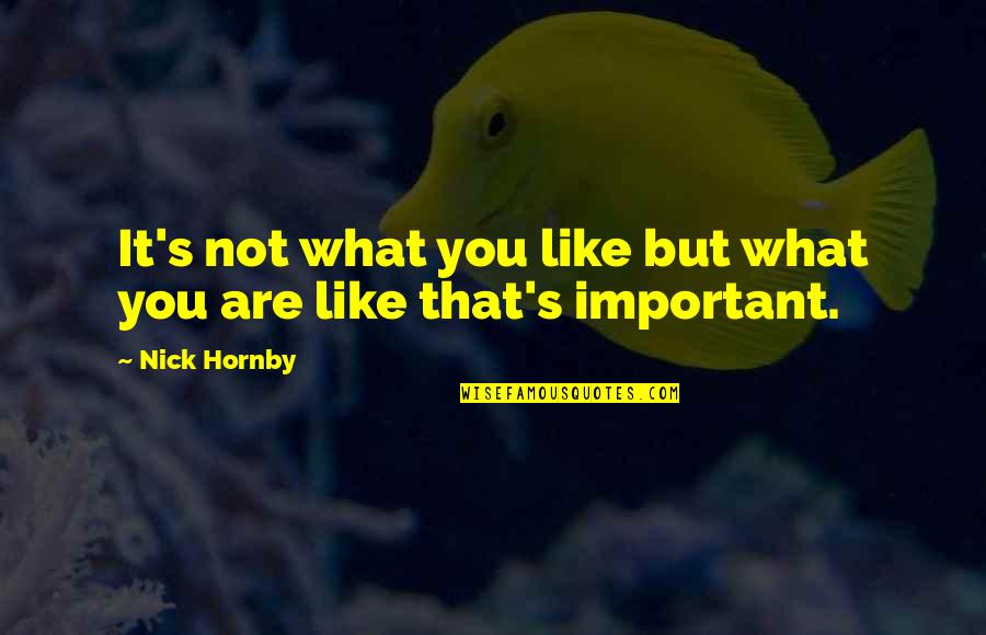Izuzetak Potvrdjuje Quotes By Nick Hornby: It's not what you like but what you