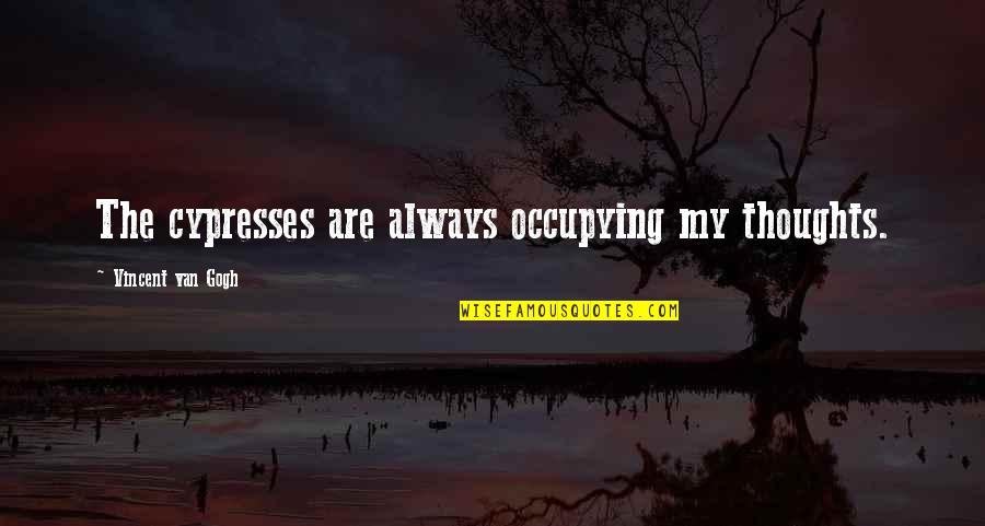 Izvlecna Quotes By Vincent Van Gogh: The cypresses are always occupying my thoughts. Izvlecna Quotes By Vincent Van Gogh: The cypresses are always occupying my thoughts.