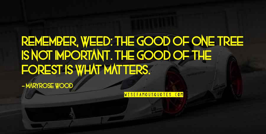 Izzamar Quotes By Maryrose Wood: Remember, Weed: The good of one tree is Izzamar Quotes By Maryrose Wood: Remember, Weed: The good of one tree is