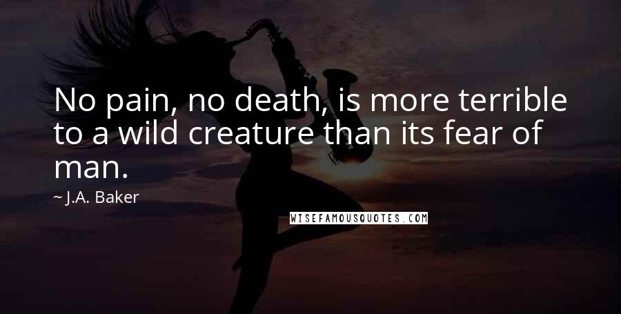 J.A. Baker quotes: No pain, no death, is more terrible to a wild creature than its fear of man.