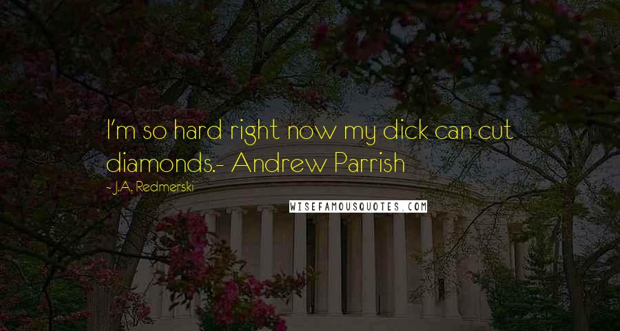 J.A. Redmerski quotes: I'm so hard right now my dick can cut diamonds.- Andrew Parrish