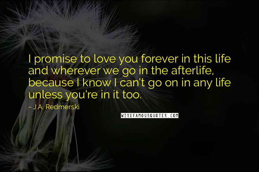 J.A. Redmerski quotes: I promise to love you forever in this life and wherever we go in the afterlife, because I know I can't go on in any life unless you're in it