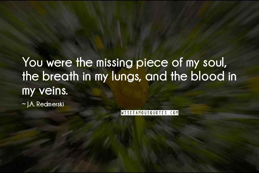 J.A. Redmerski quotes: You were the missing piece of my soul, the breath in my lungs, and the blood in my veins.