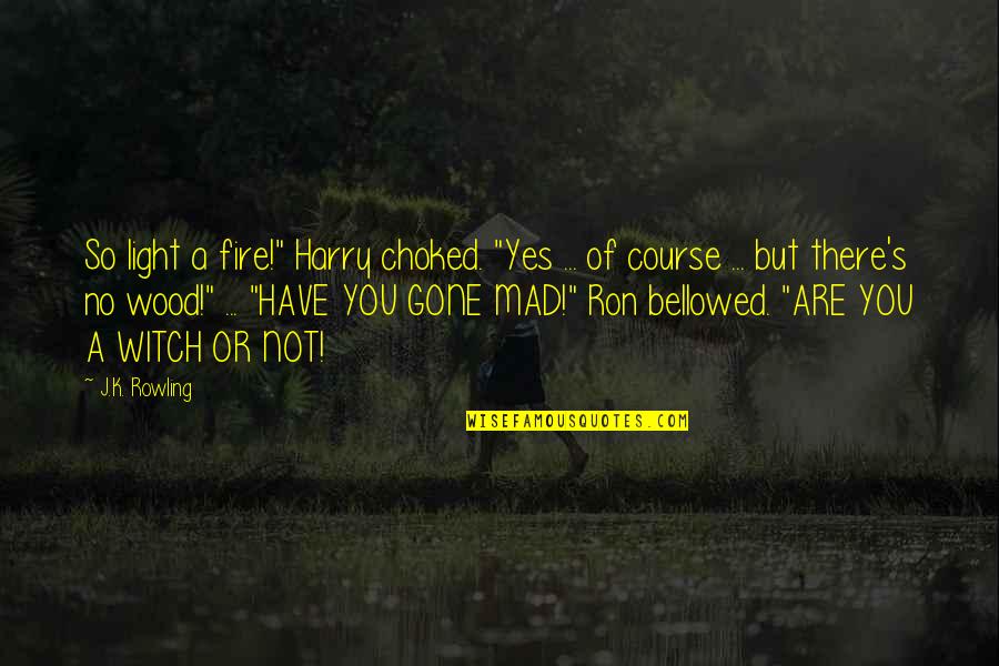 J A Wood Quotes By J.K. Rowling: So light a fire!" Harry choked. "Yes ...